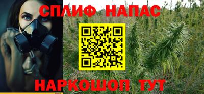 гидропоника Гусь-Хрустальный