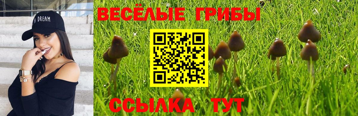 Галлюциногенные грибы Psilocybine cubensis Железноводск