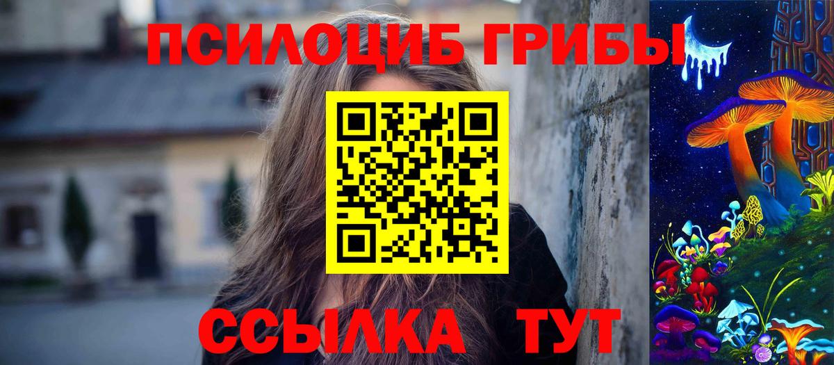 Железноводск  Псилоцибиновые грибы MAGIC MUSHROOMS  Вход с VPN 